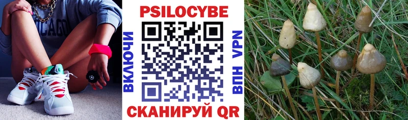 Псилоцибиновые грибы ЛСД Великий Устюг