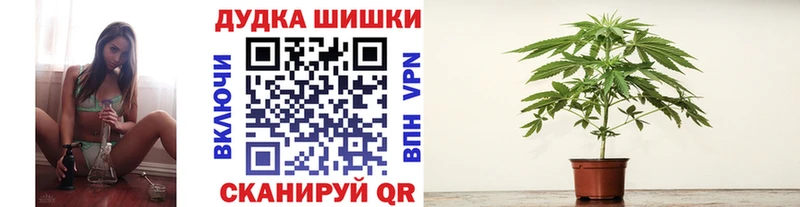 гидра ТОР Великий Устюг Бошки марихуана конопля